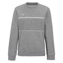 Tecnifibre Team Lady Sweater Silver