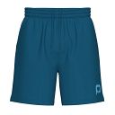 Pallap Men's Shorts Petrol Blue / Cyan Blue