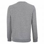 Tecnifibre Team Sweater Silver