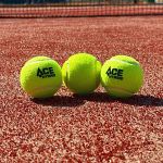 Karakal Ace Hybrid 12B