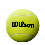 Wilson Roland Garros 5" Mini Jumbo Tennis Ball Yellow