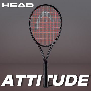 Head Attitude