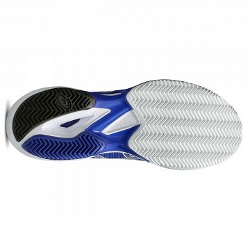 ASICS Solution Speed FF 3 Clay Dark Cobalt / White
