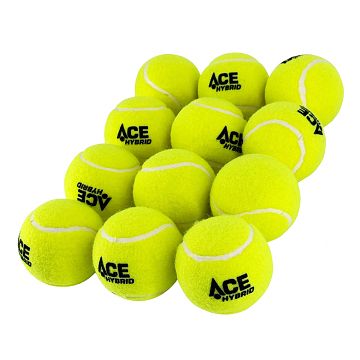 Karakal Ace Hybrid 12B
