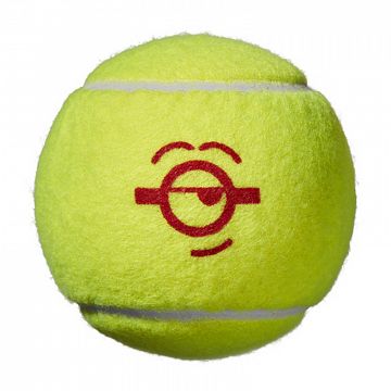 Wilson Minions Starter Orange Ball (Stage 2) 3B