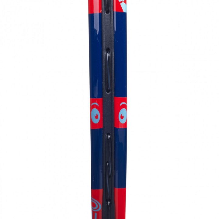 Babolat Ballfighter Jr 19" Blue / Red