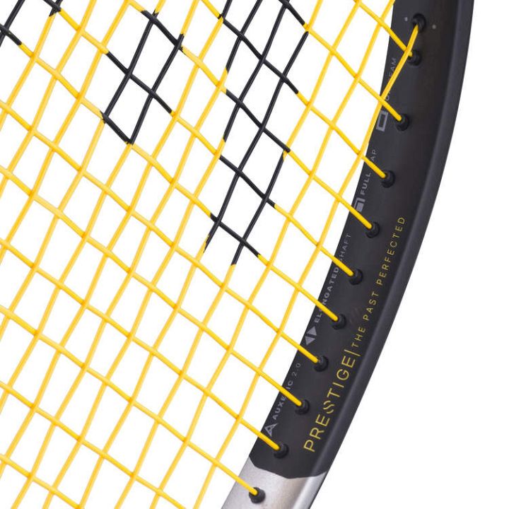 Head Prestige MP Limited 2026