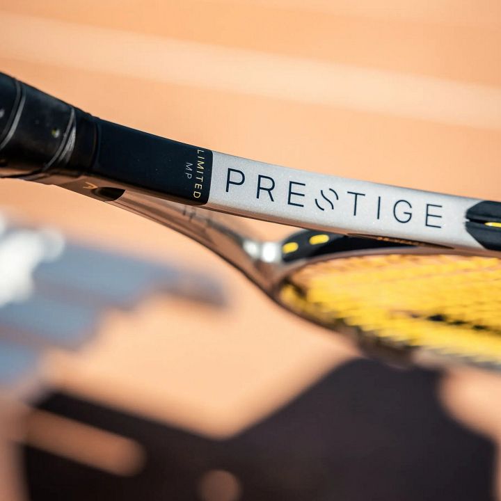 Head Prestige MP Limited 2026