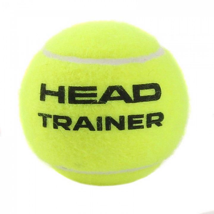 Head Trainer 1szt.