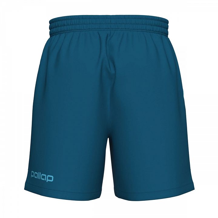 Pallap Men's Shorts Petrol Blue / Cyan Blue