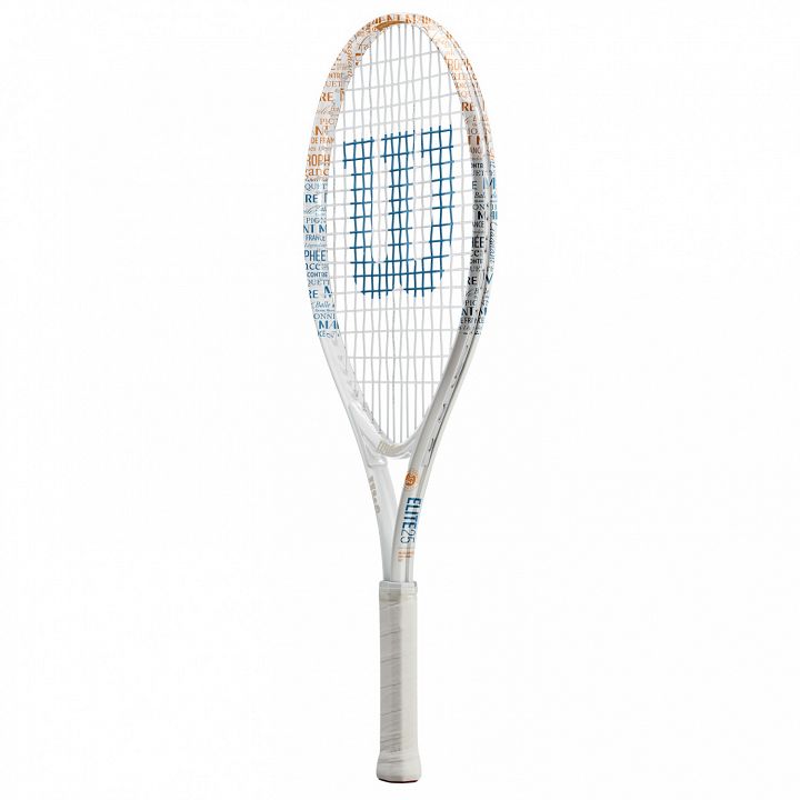 Wilson Roland Garros Elite Jr 25