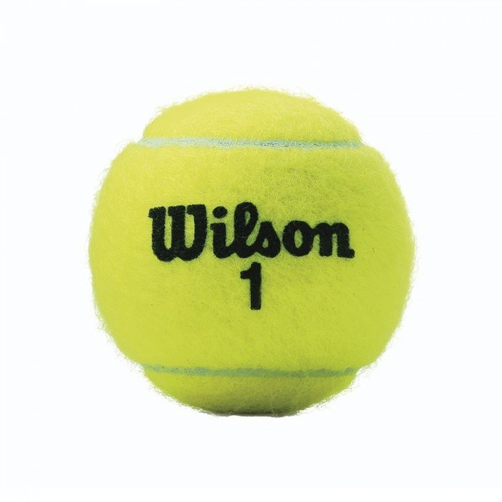 Wilson Championship Extra Duty 4 szt.