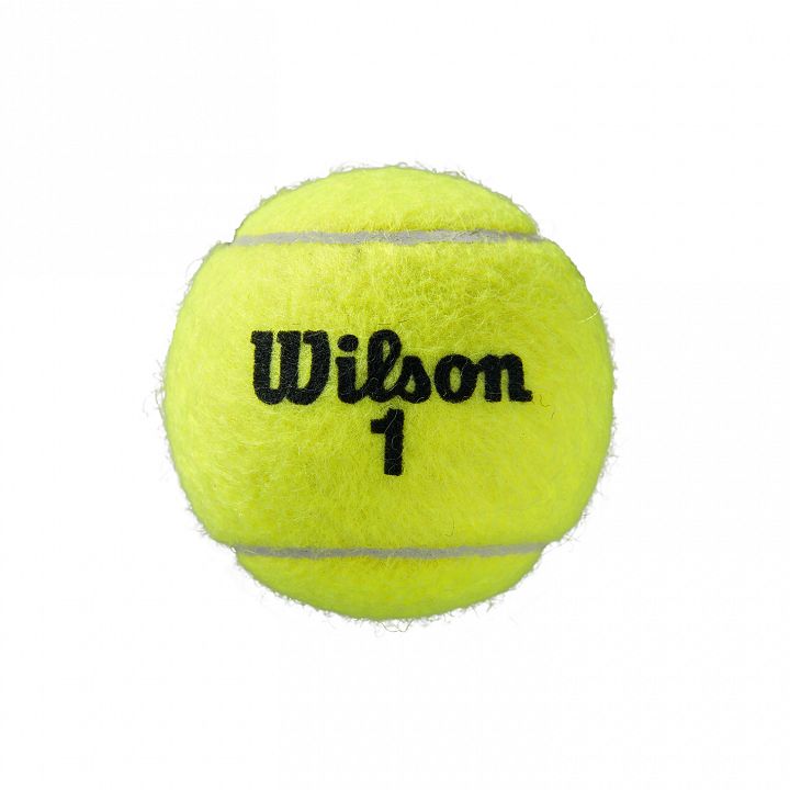 Wilson Roland Garros Clay 4B