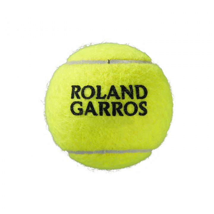 Wilson Roland Garros All Court 4B